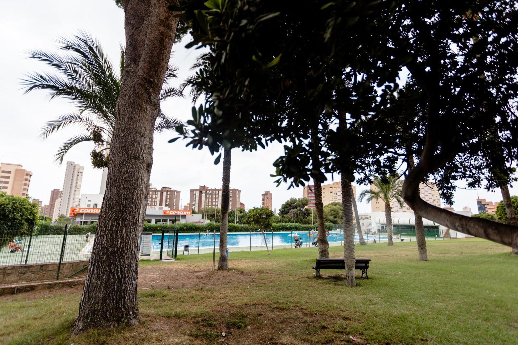Great Panoramic View Studio Apartment بينايدورم المظهر الخارجي الصورة